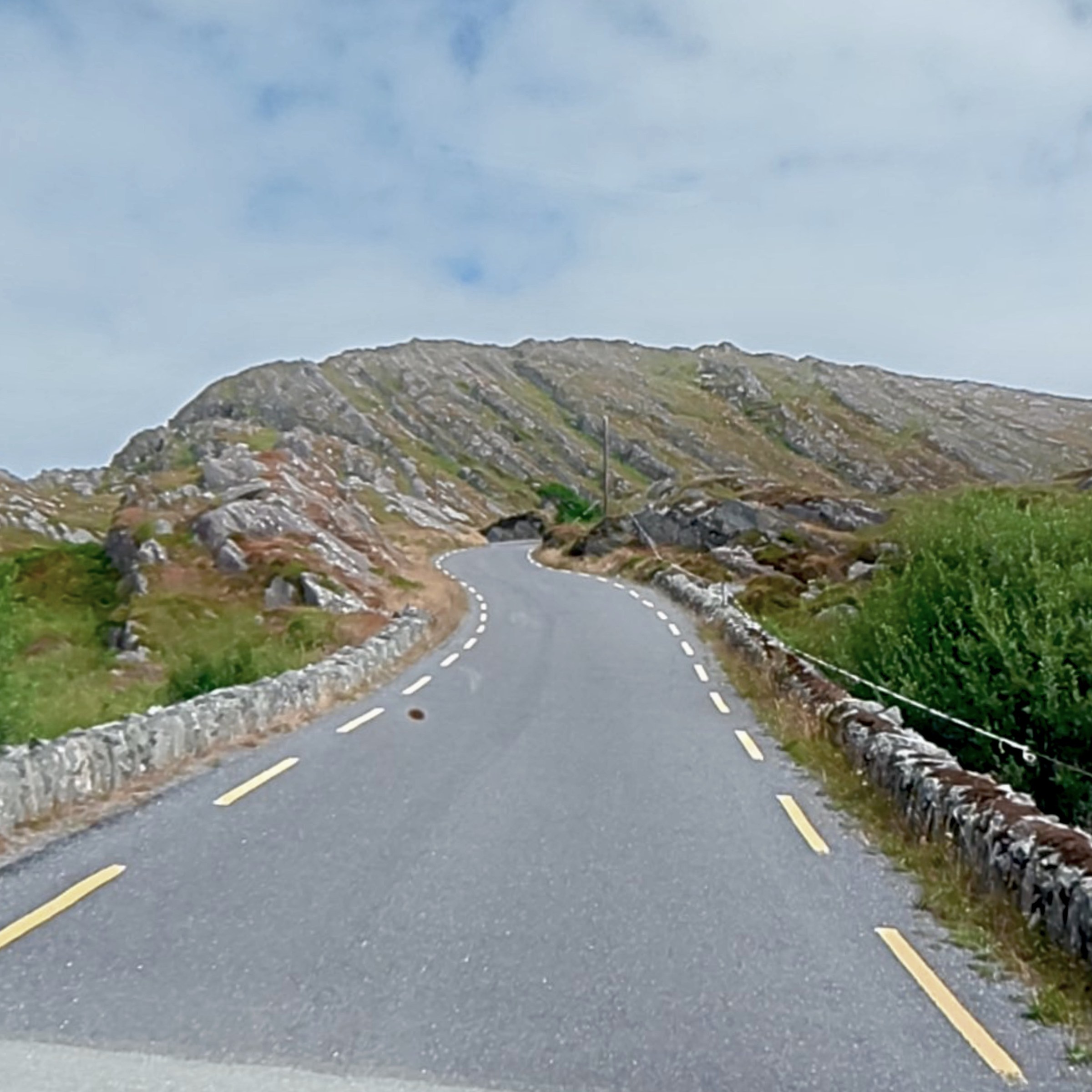 A winding mountain road photographed through Ollie's windscreen