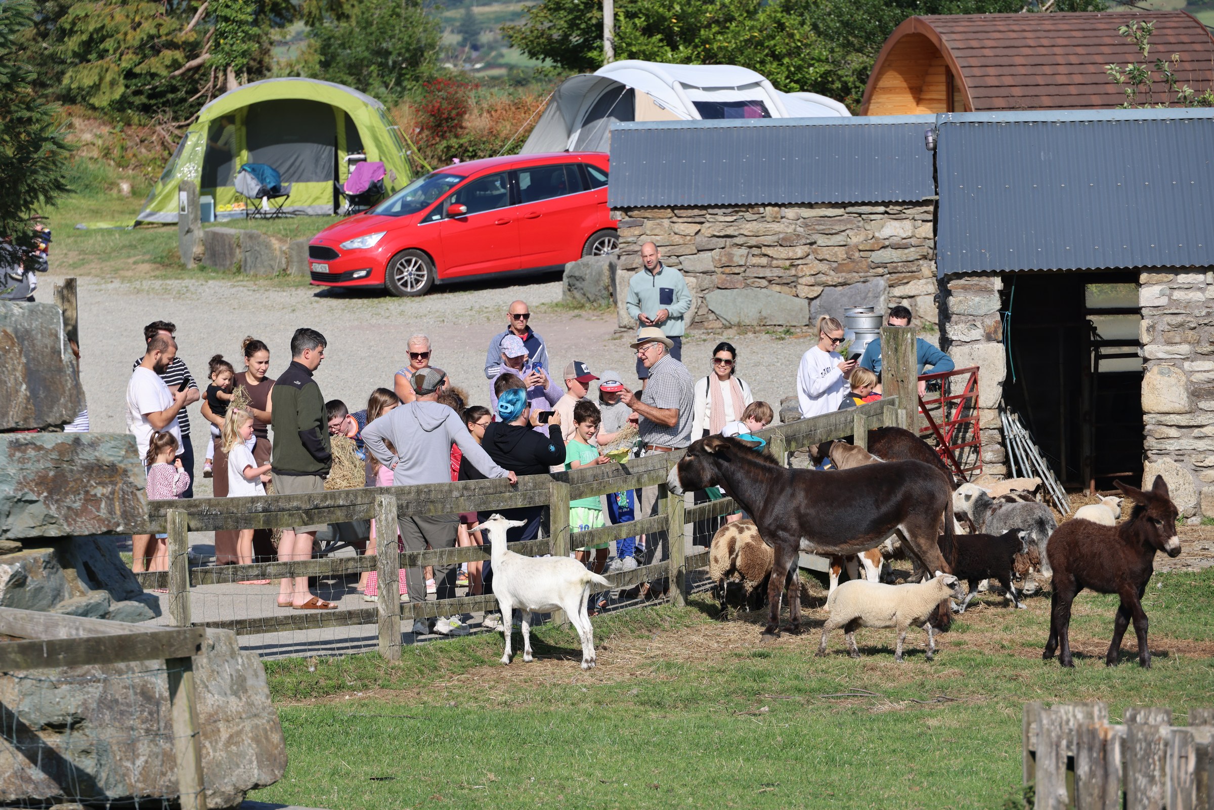Families gathered for the morning animal feeding