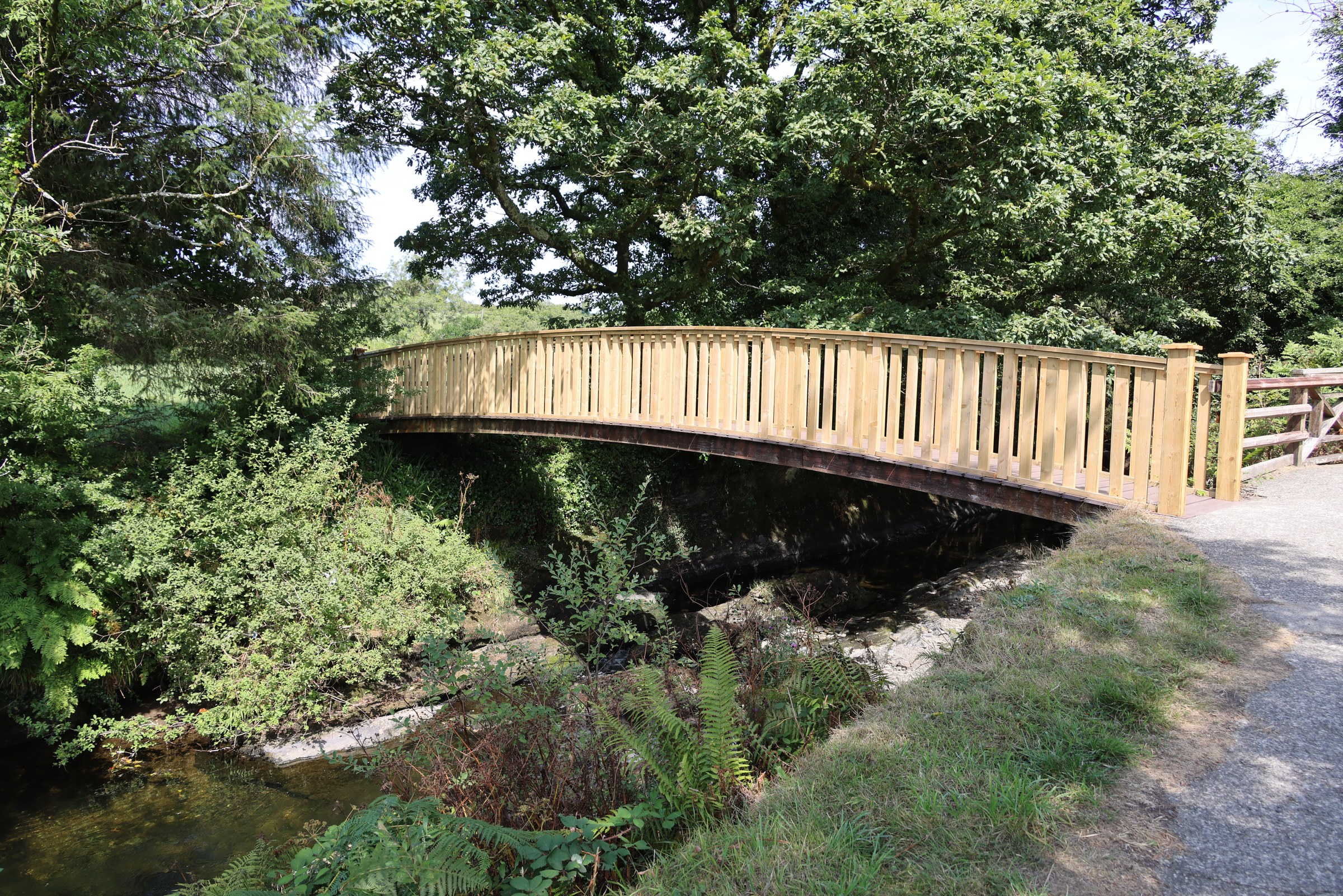 Wooden footbridge over the River Ilen