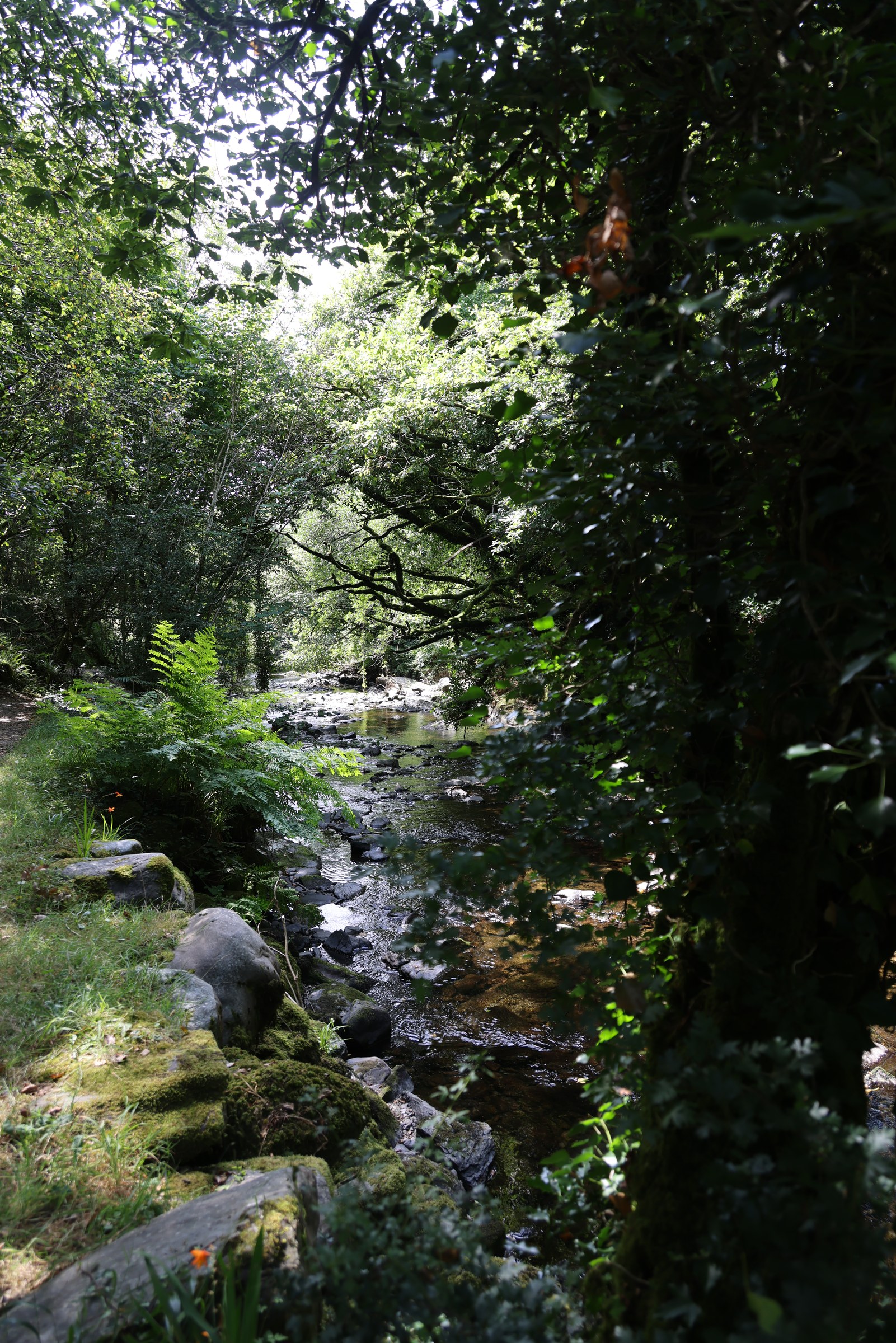 Narrow tree-lined section of the River Ilen