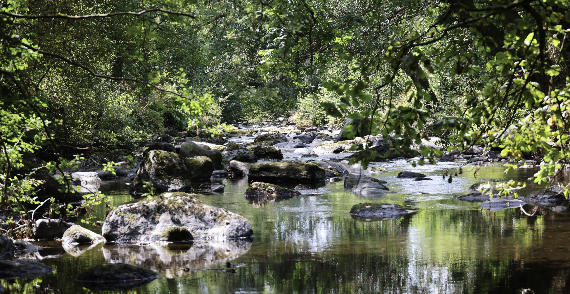 Sunlit River Ilen flowing over rocks beneath the trees