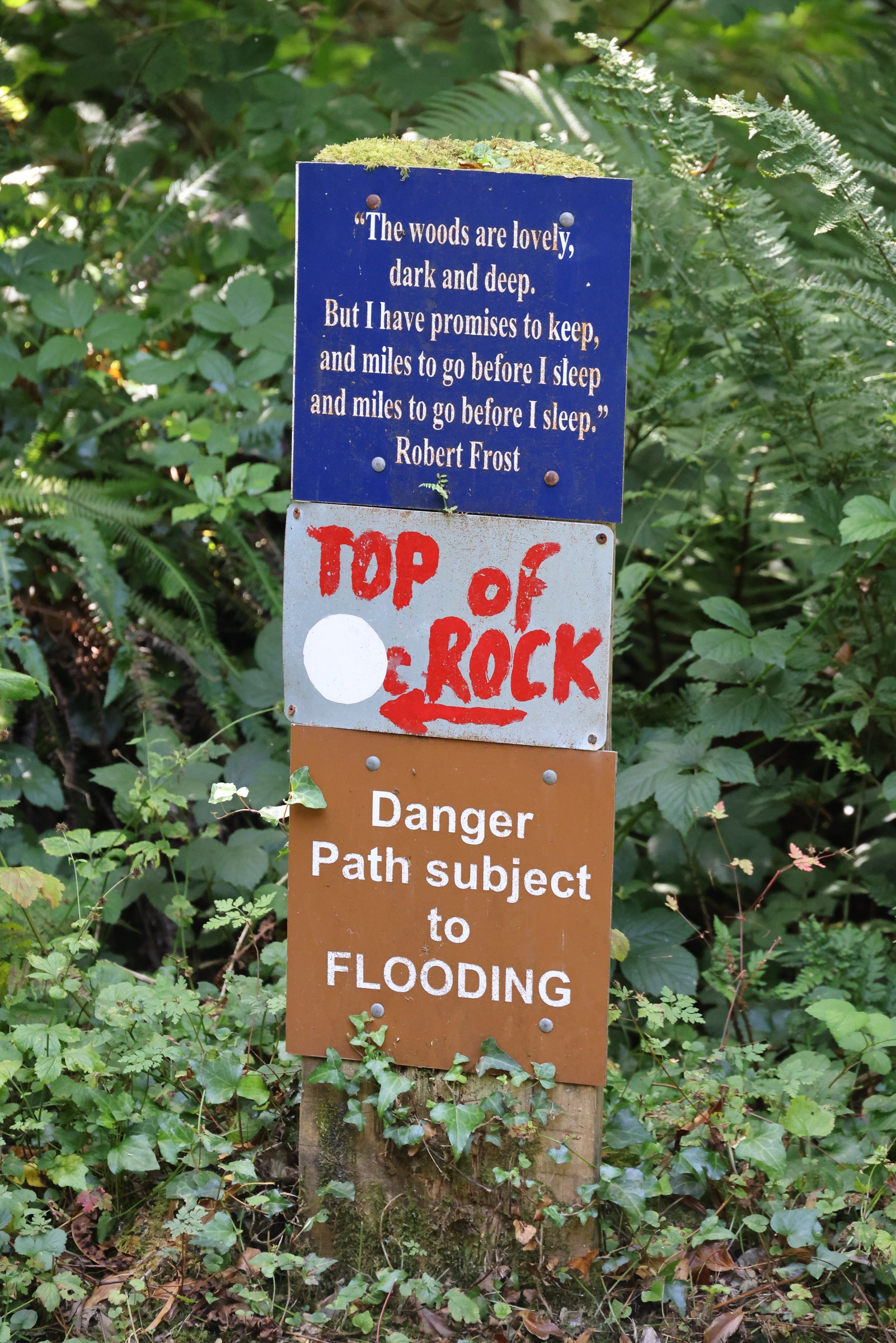 Top of the Rock trail sign among the hedgerows