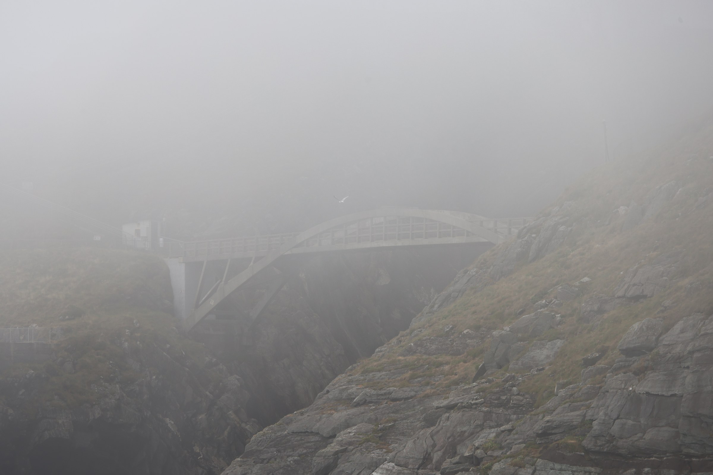 Mizen Head Footbridge barely visible through dense fog