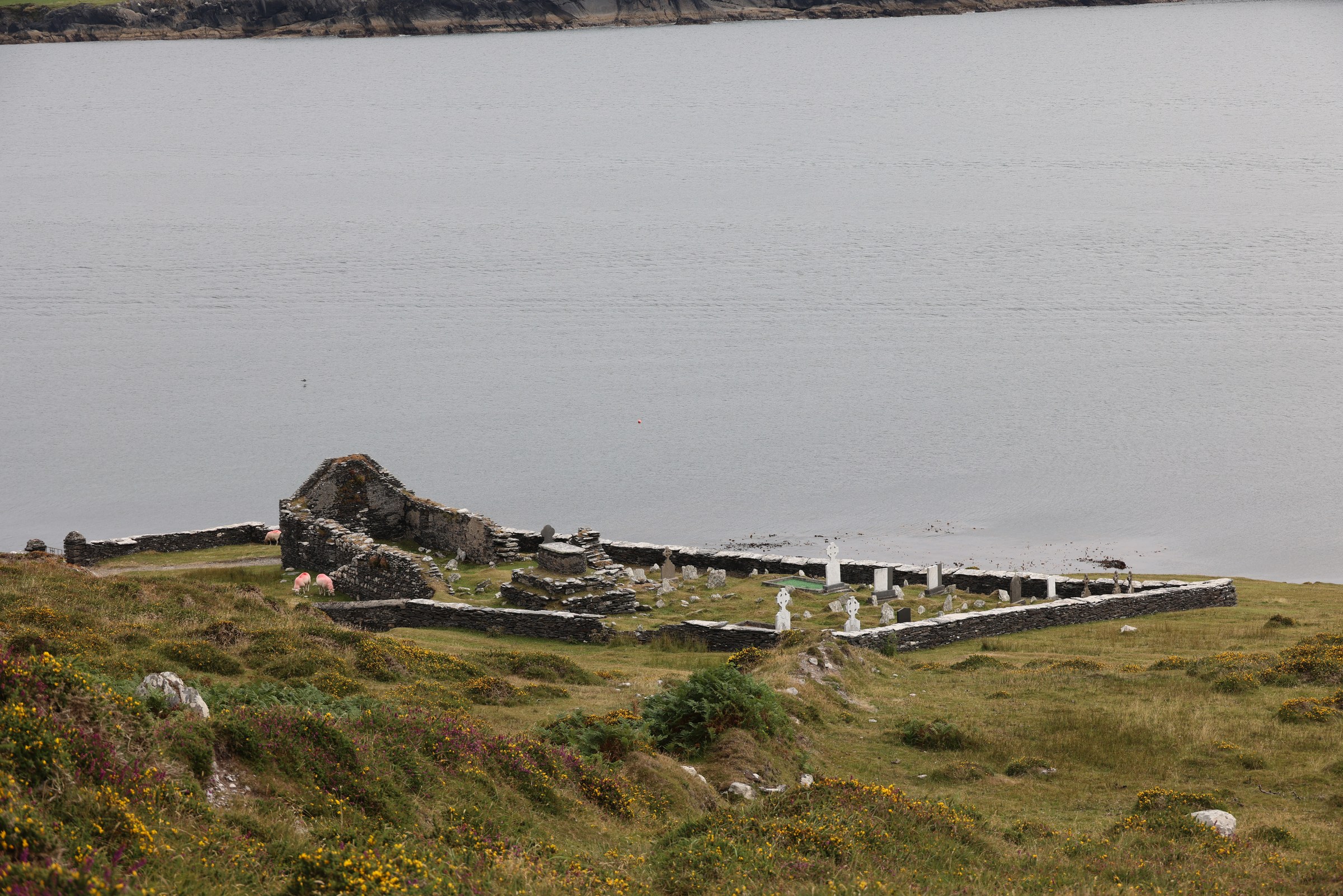 The ruined Kilmichael Church and burial ground beside the sea