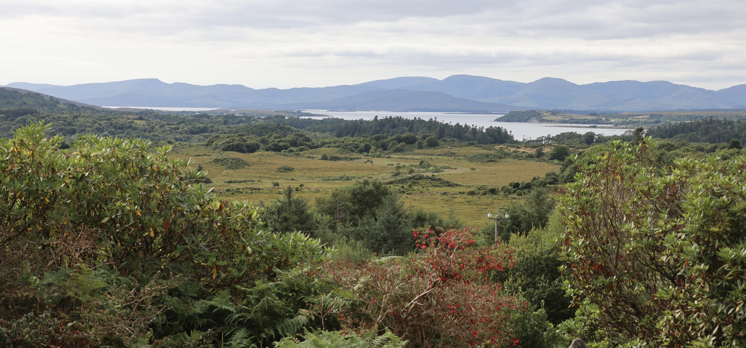 The estuary and distant mountains viewed across the Beara countryside
