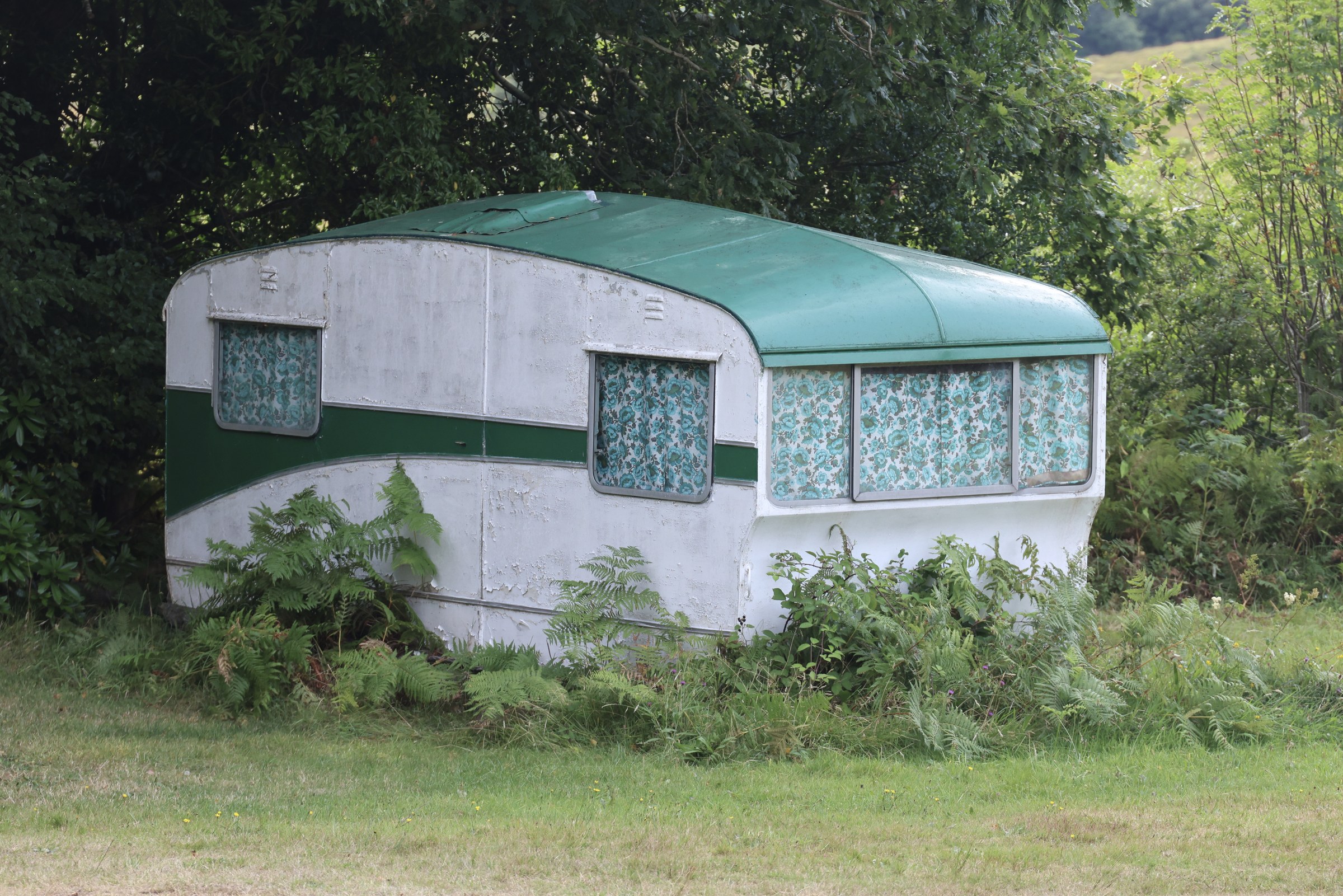 An ageing green-and-white caravan surrounded by vegetation