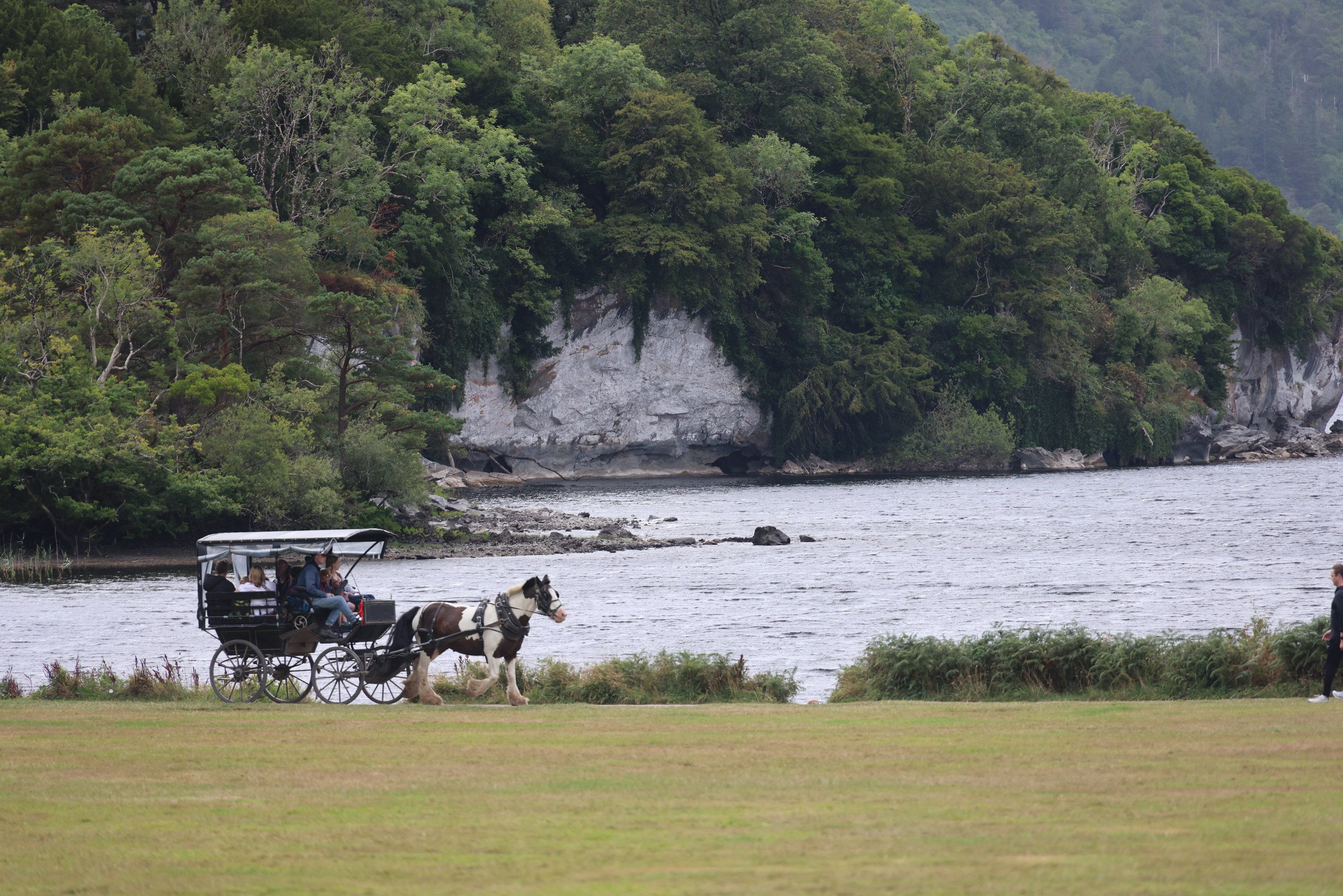 A horse-drawn jaunting car beside Muckross Lake