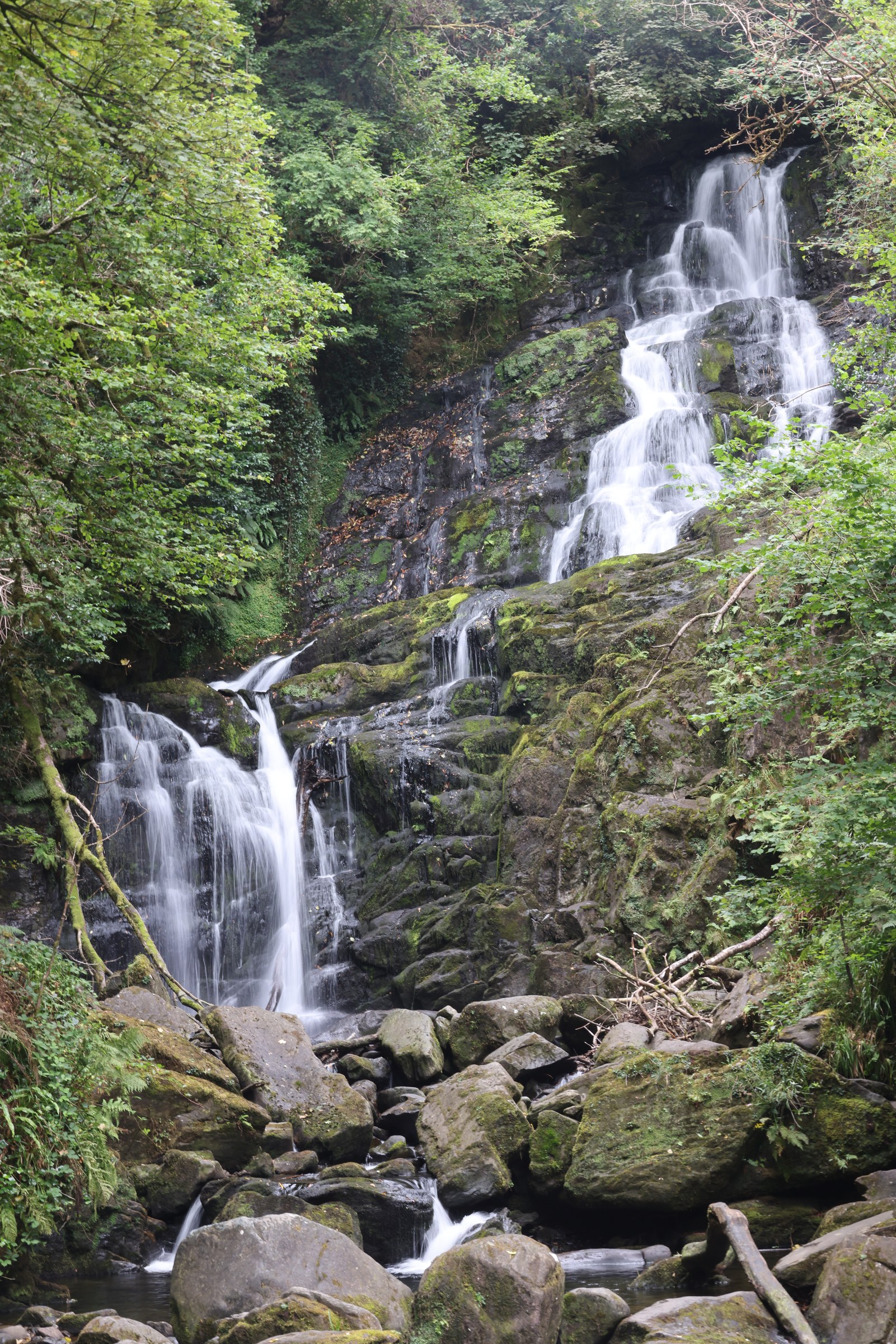 Torc Waterfall cascading down a rocky, wooded hillside