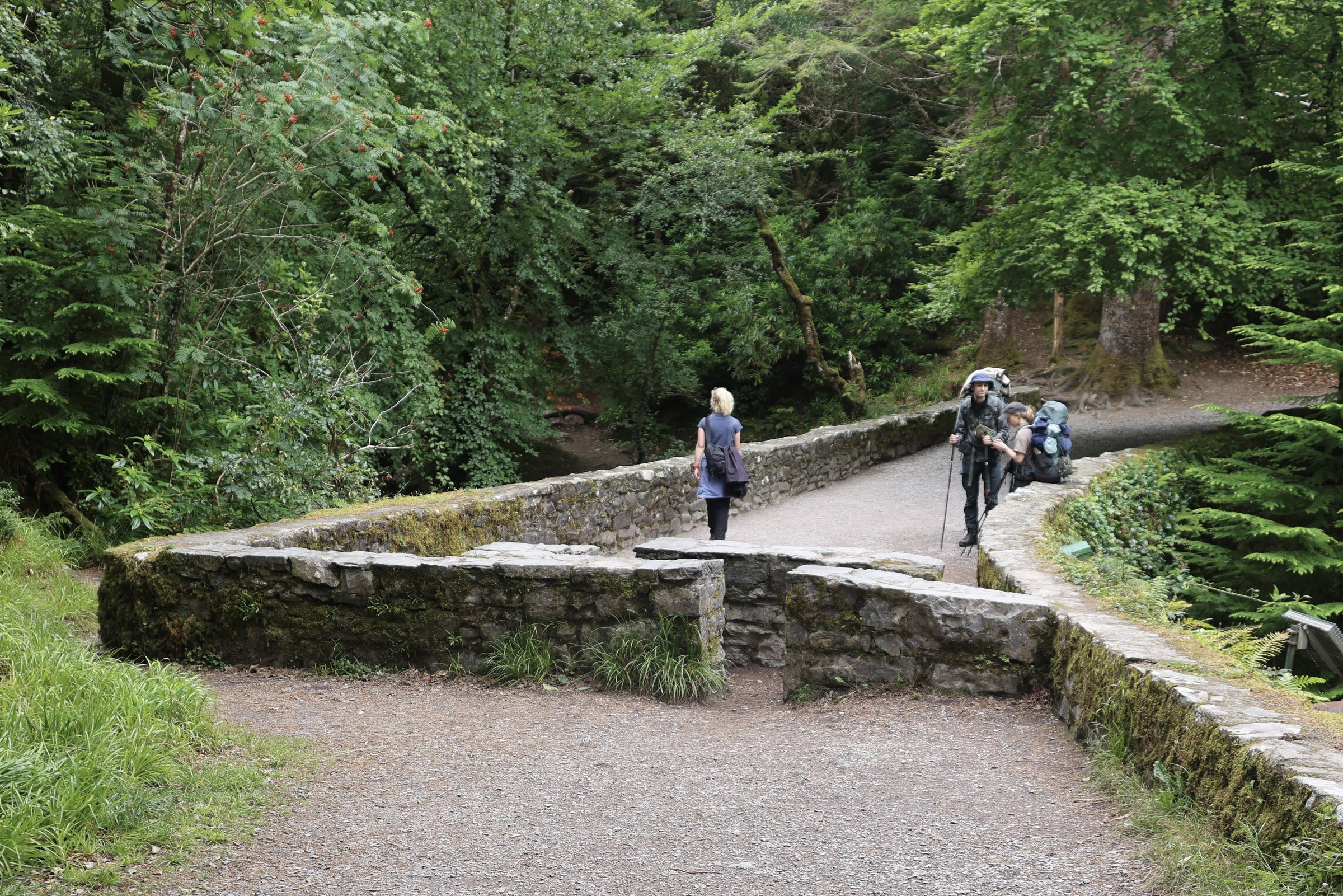 A stone footbridge crossing the stream above Torc Waterfall