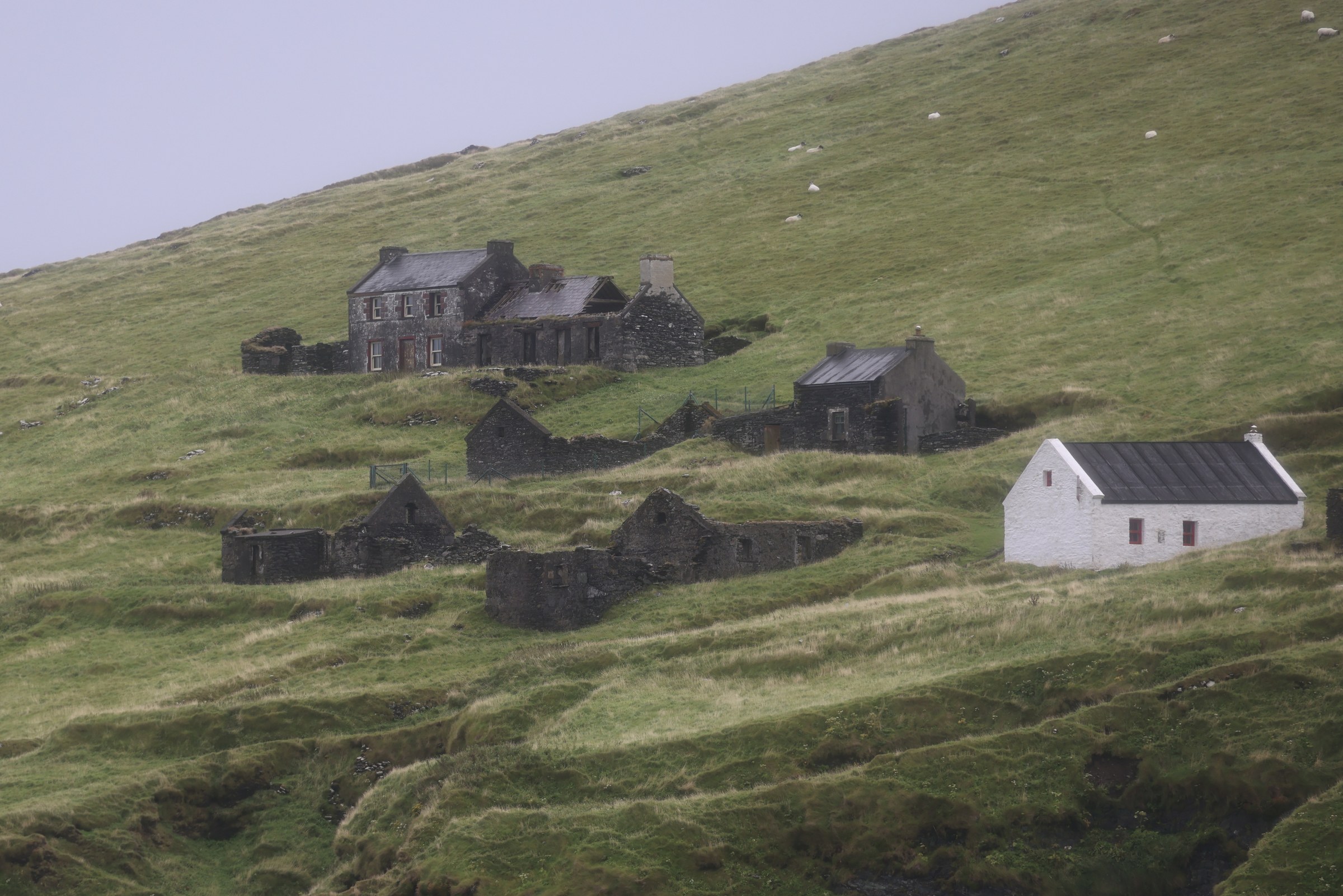 The abandoned village and restored cottages on the green slopes of Great Blasket