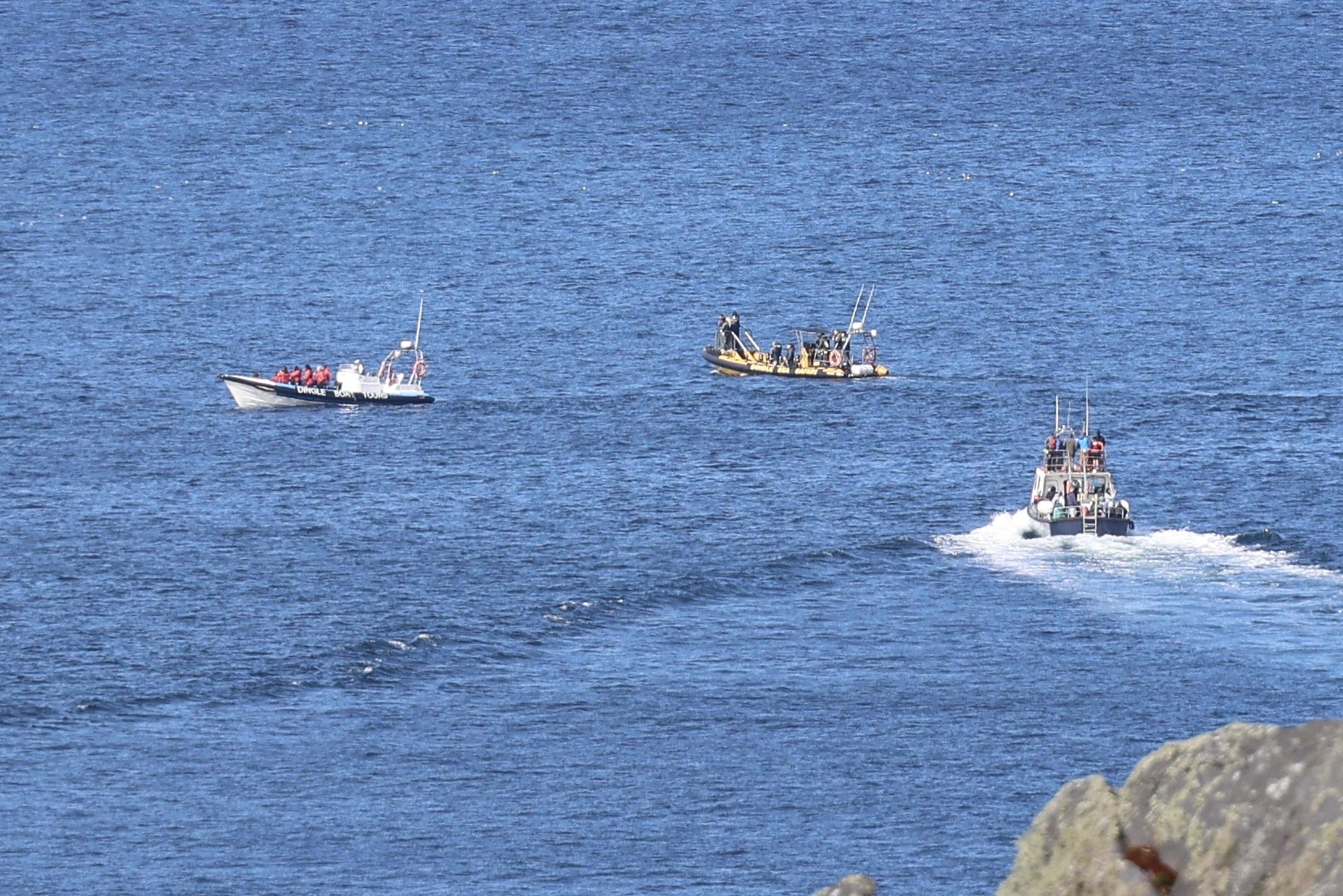 Several wildlife-watching boats gathered below Dunmore Head
