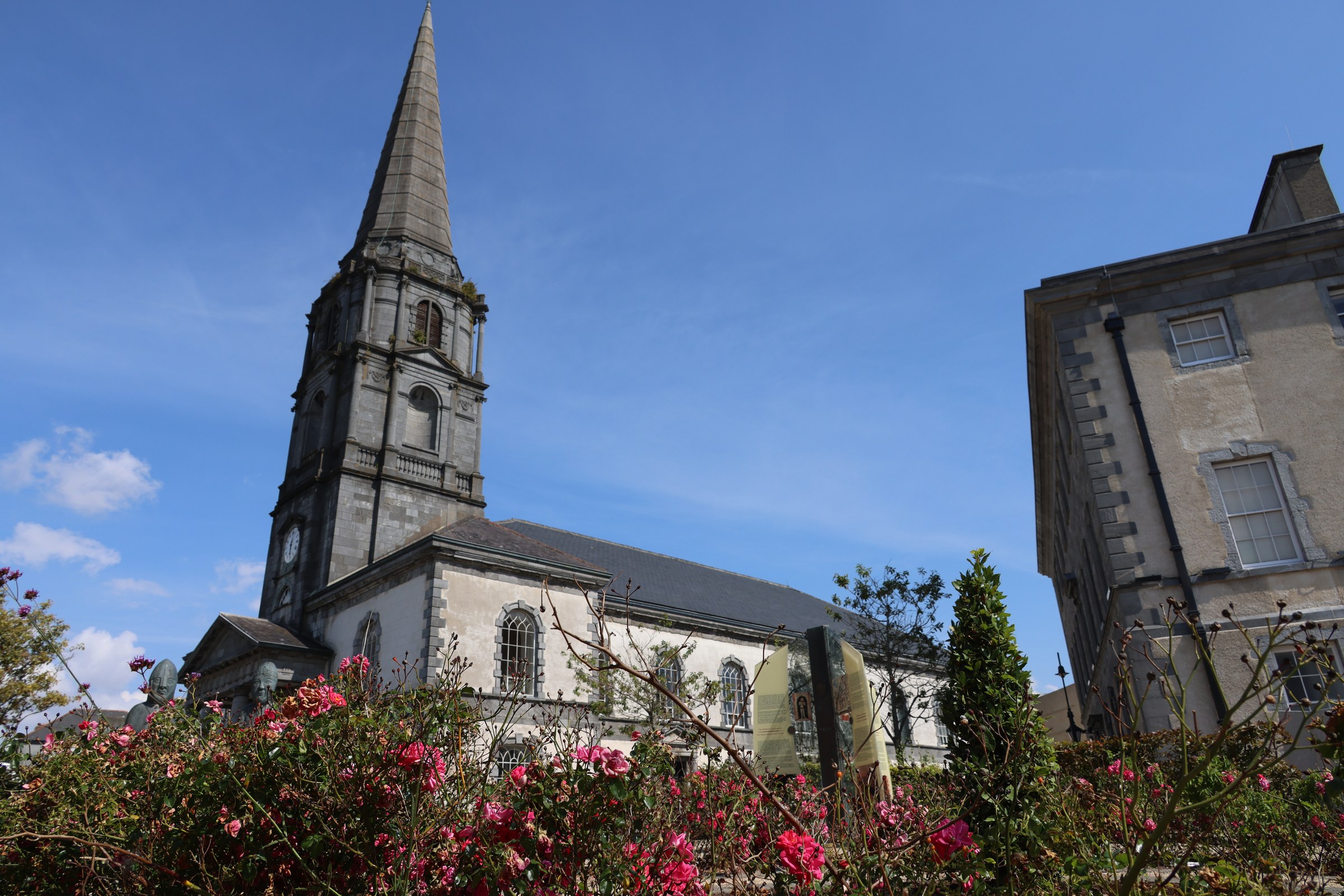 Christ Church Cathedral rising behind red flowers in Waterford