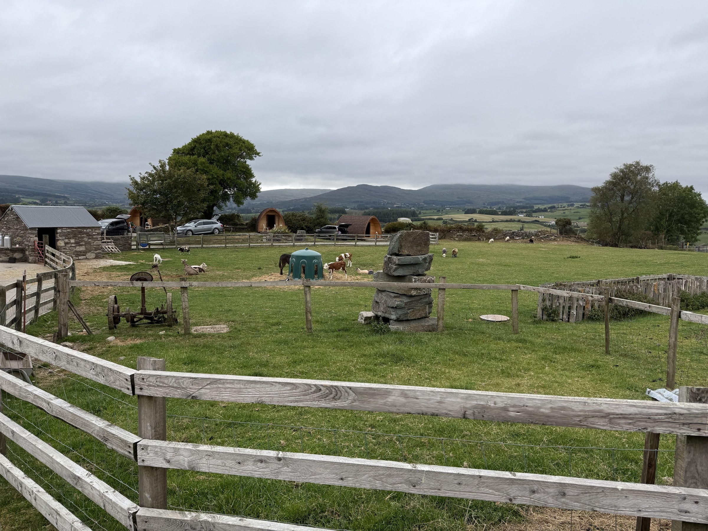 Farm animals and paddocks at Top of the Rock