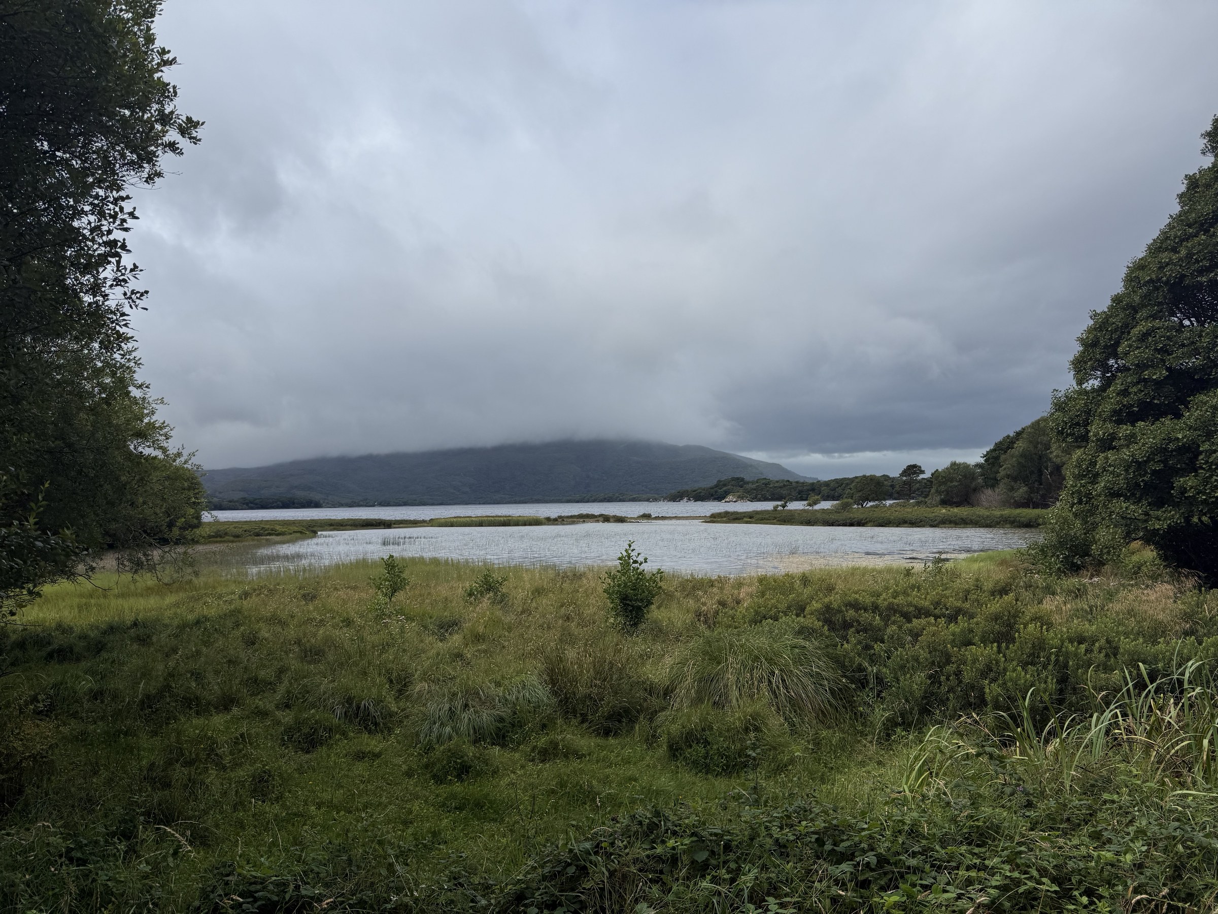 Muckross Lake and the mountains seen from the path to Torc Waterfall