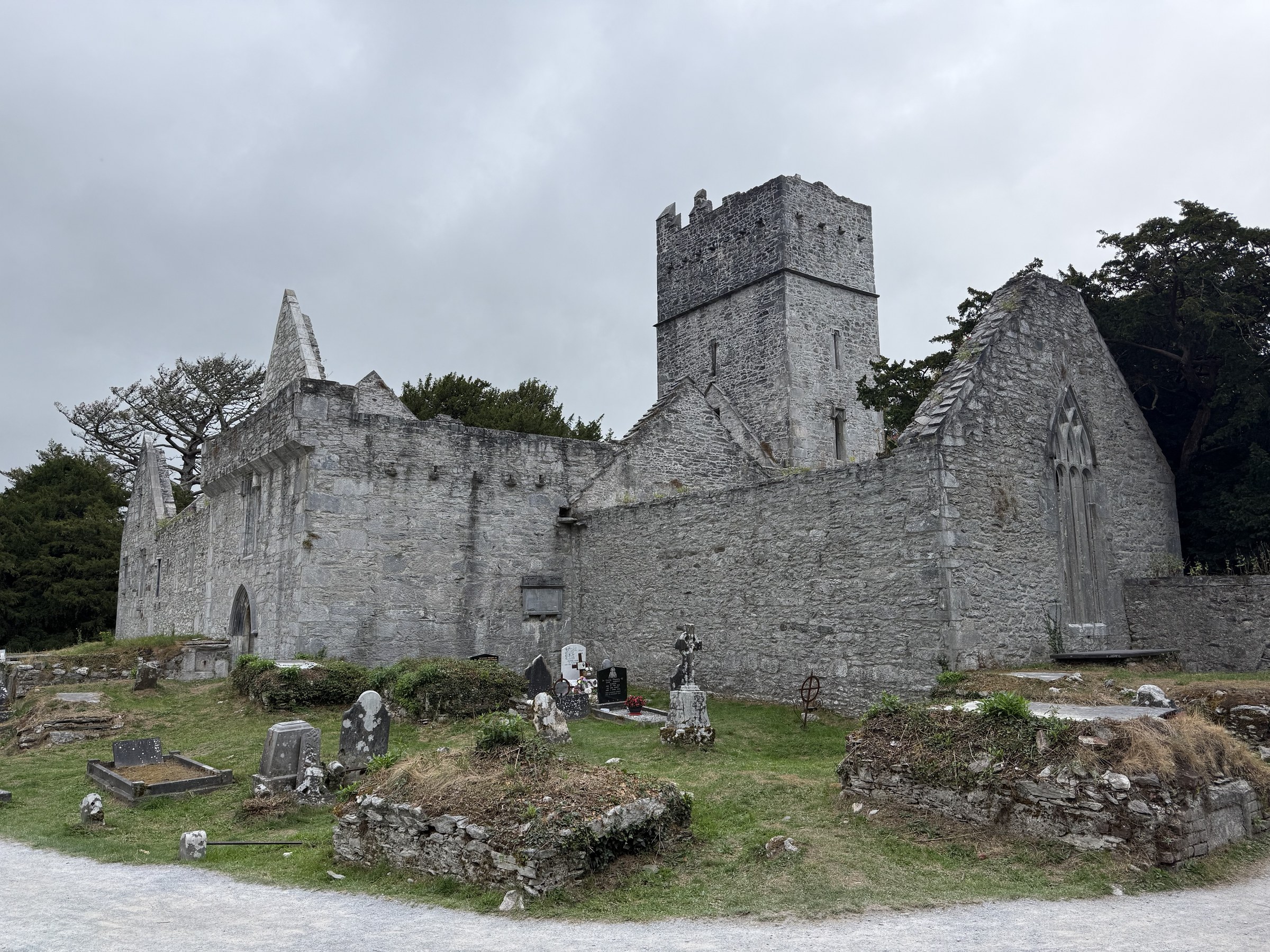 The roofless stone ruins of Muckross Abbey beside its graveyard