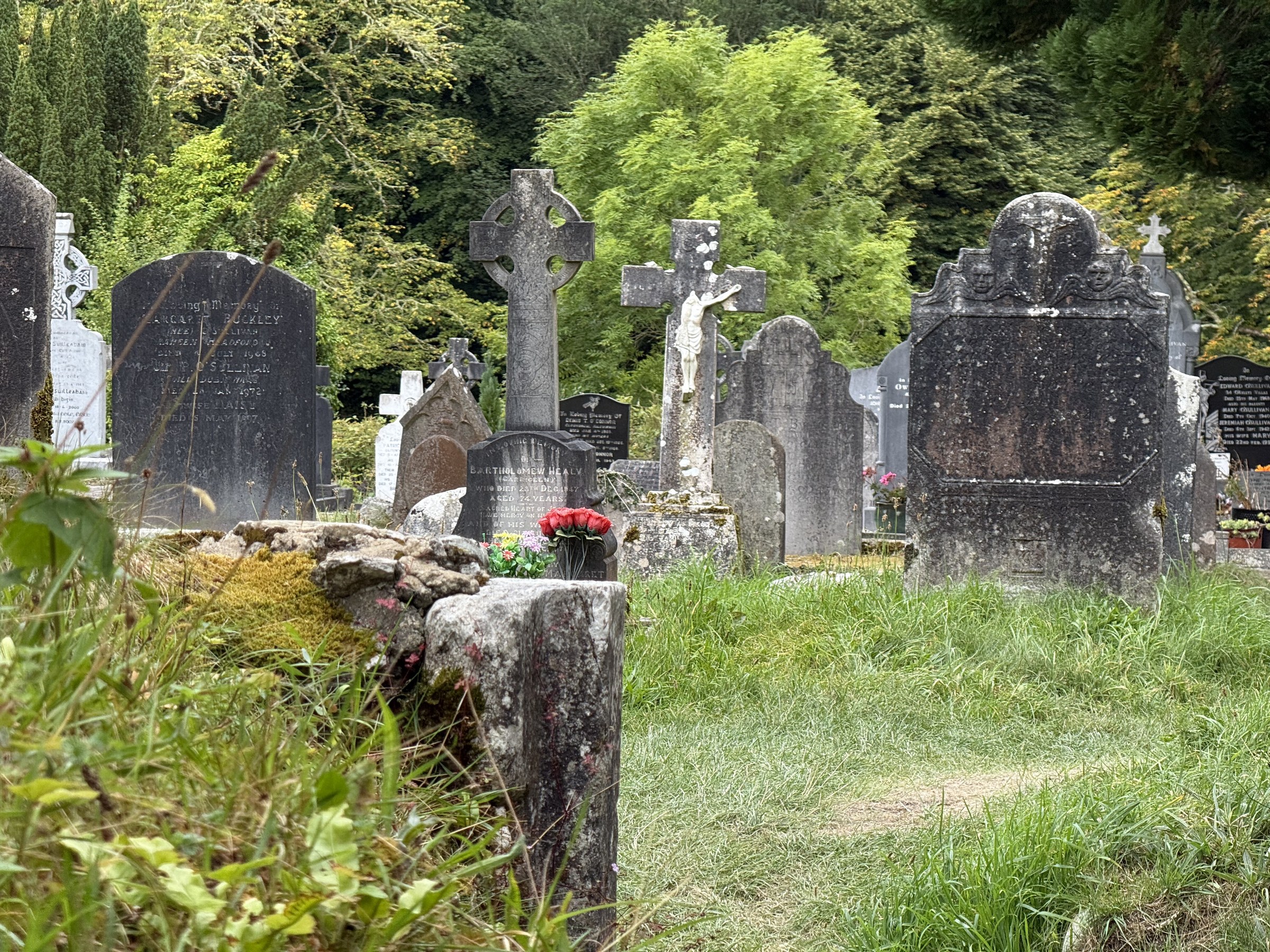 Old gravestones filling the churchyard at Muckross Abbey