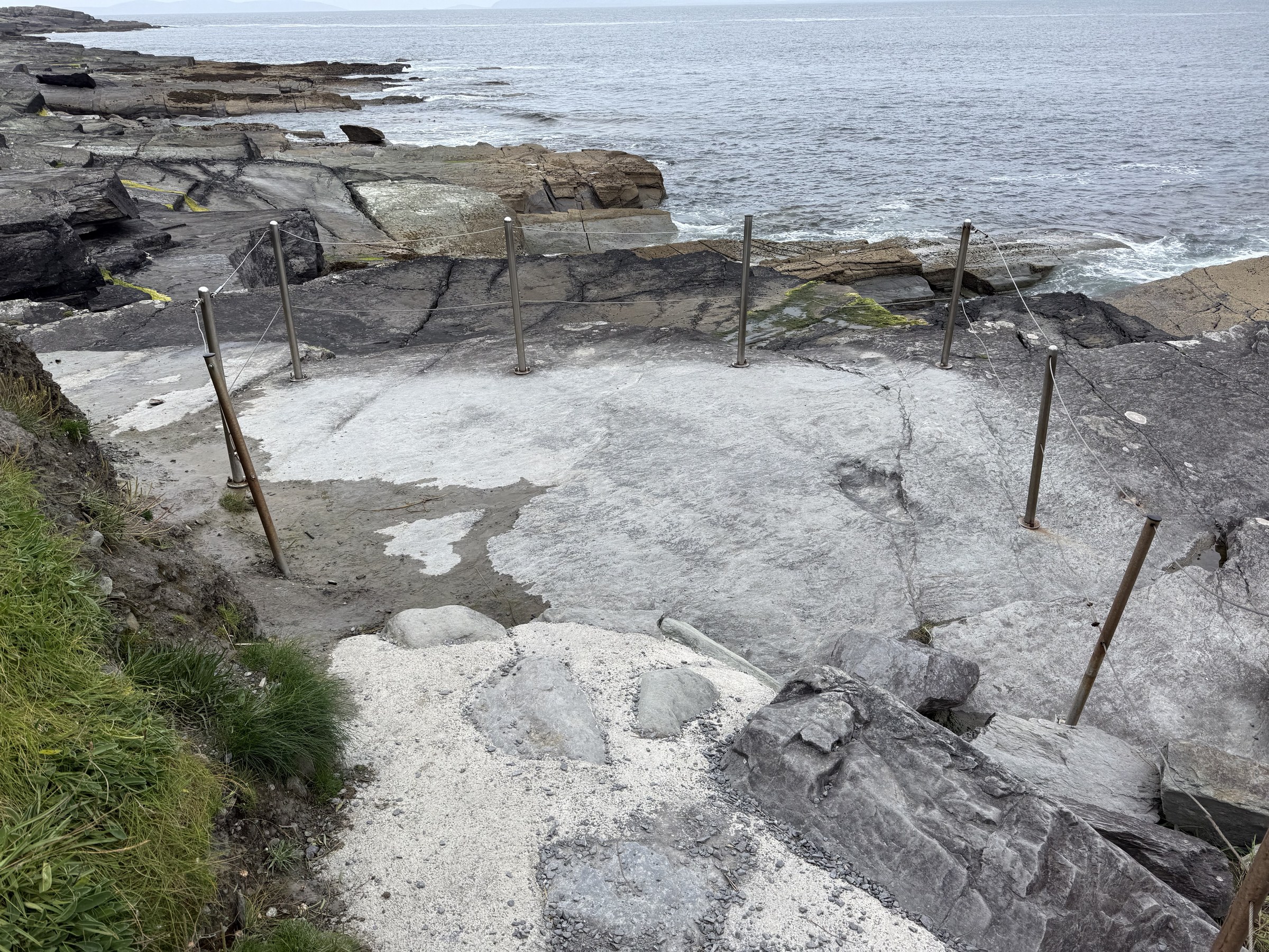 The roped-off rock surface containing Valentia's tetrapod trackways