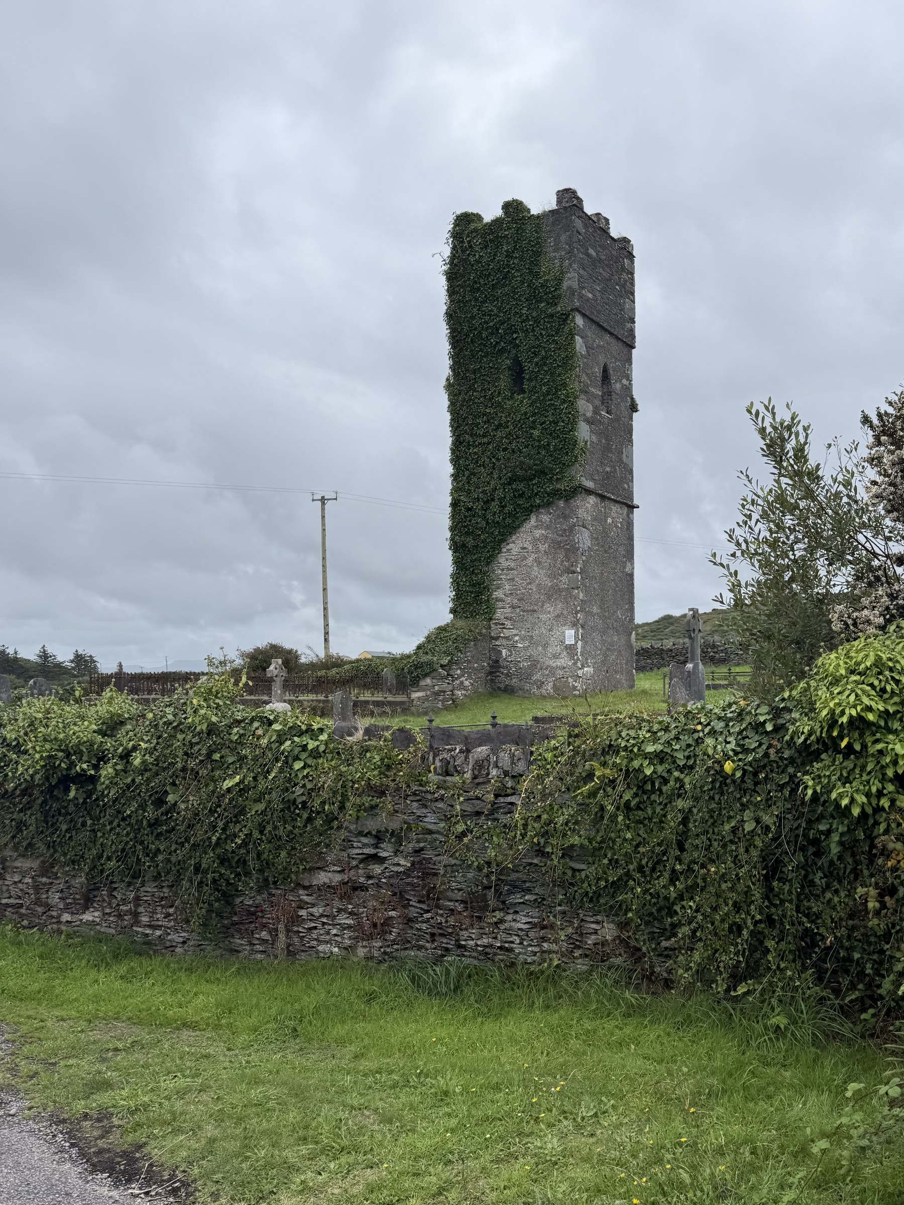 An ivy-covered ruined church tower beside the road on Valentia Island