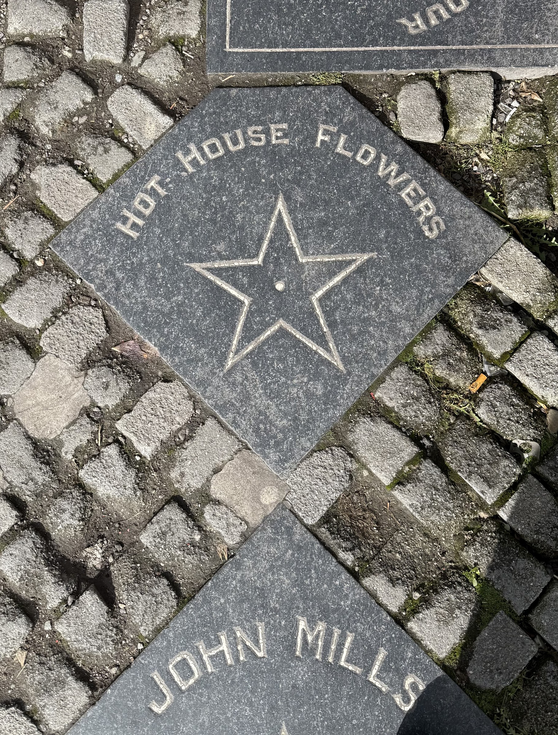 The Hothouse Flowers star in the pavement outside Dick Mack's pub