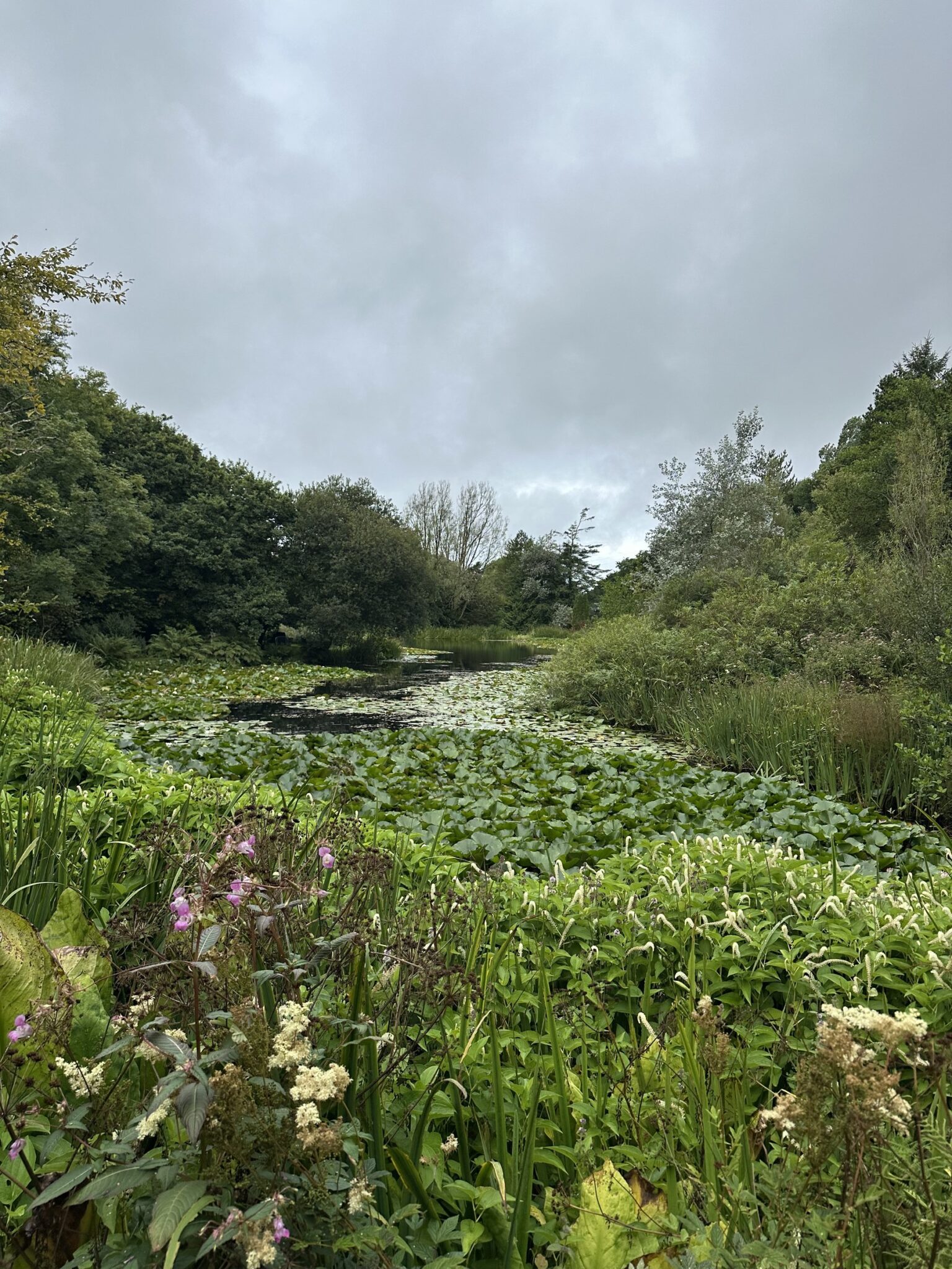 The gardens at Hilton Court are wonderful