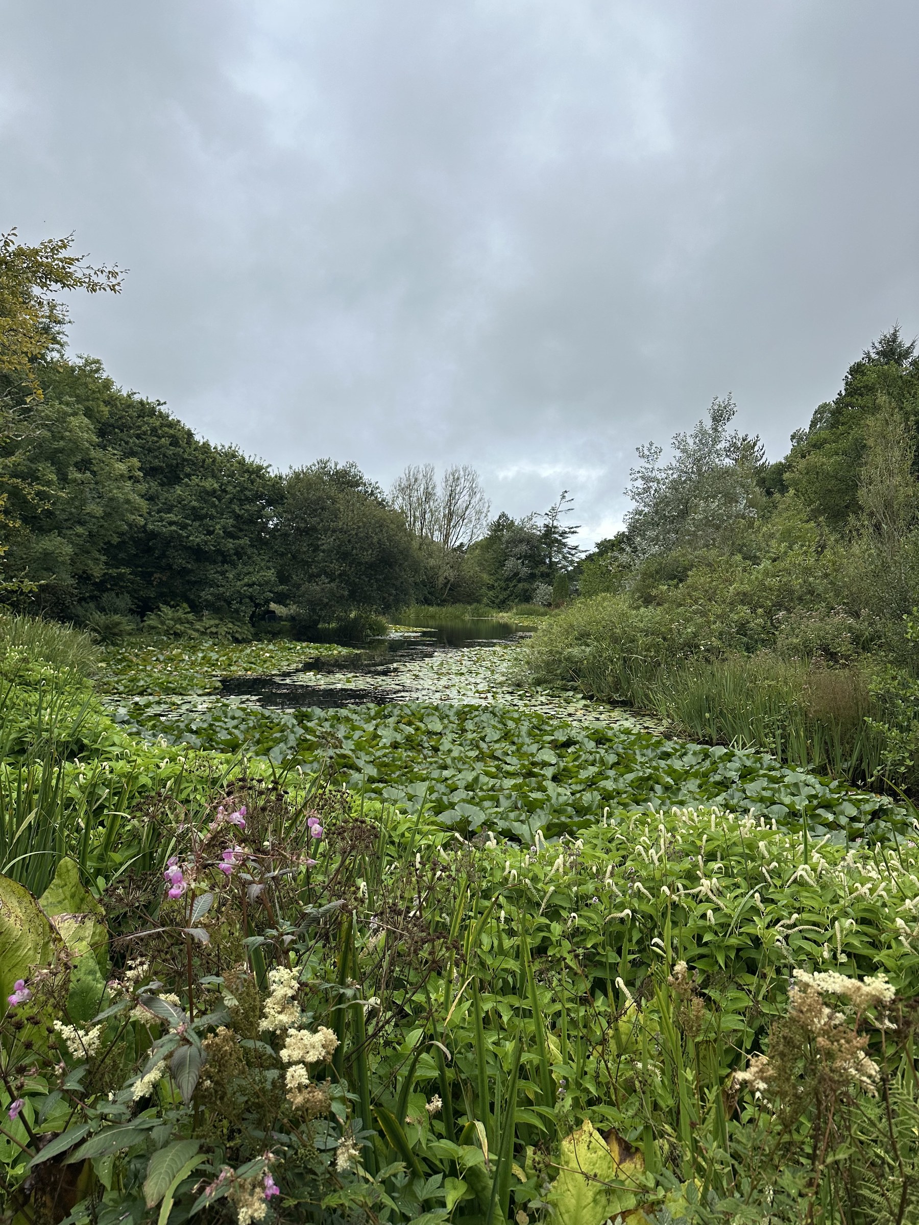 The gardens at Hilton Court are wonderful
