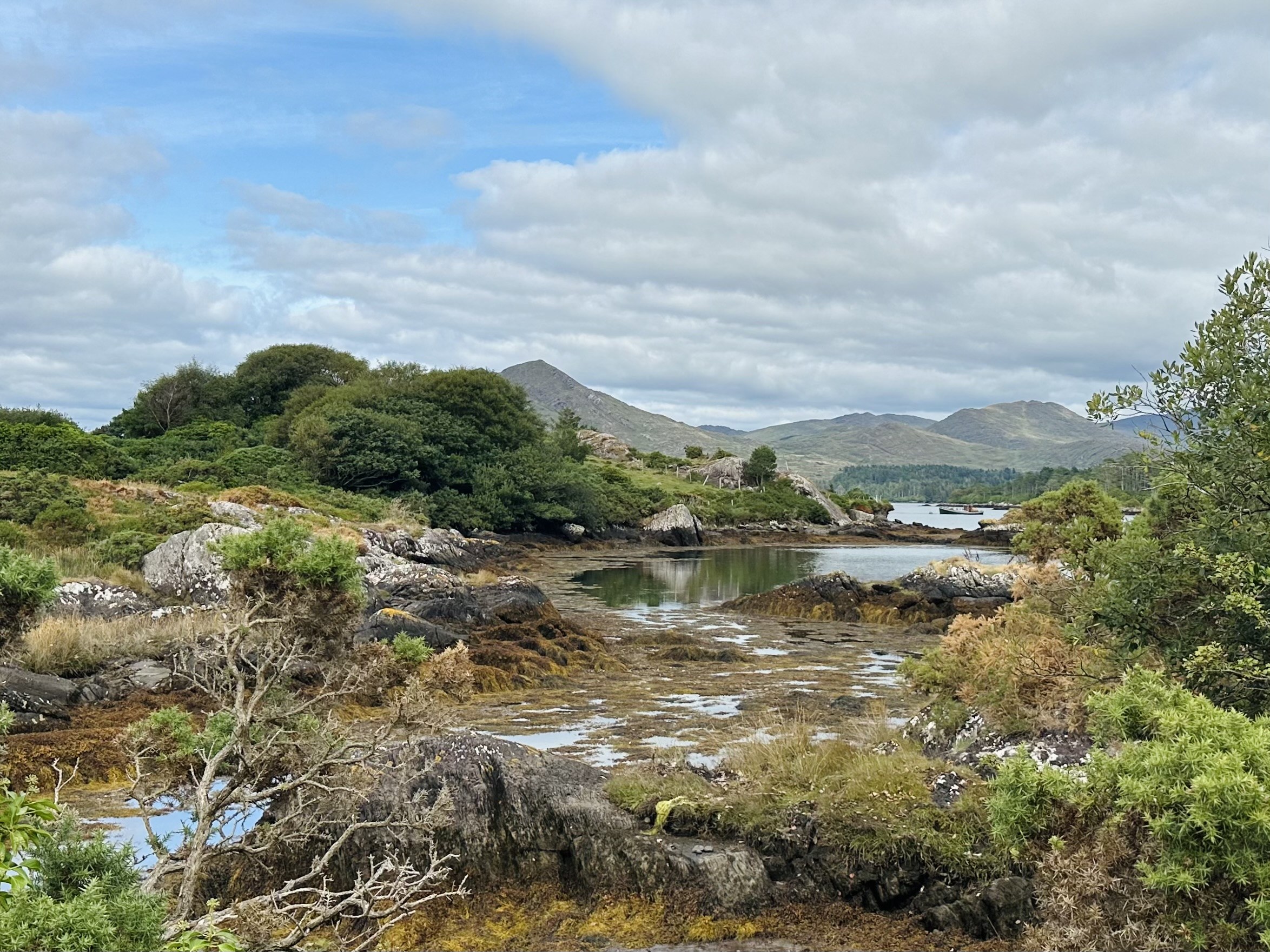 A narrow Wild Atlantic Way road winding between rocks, trees and mountains