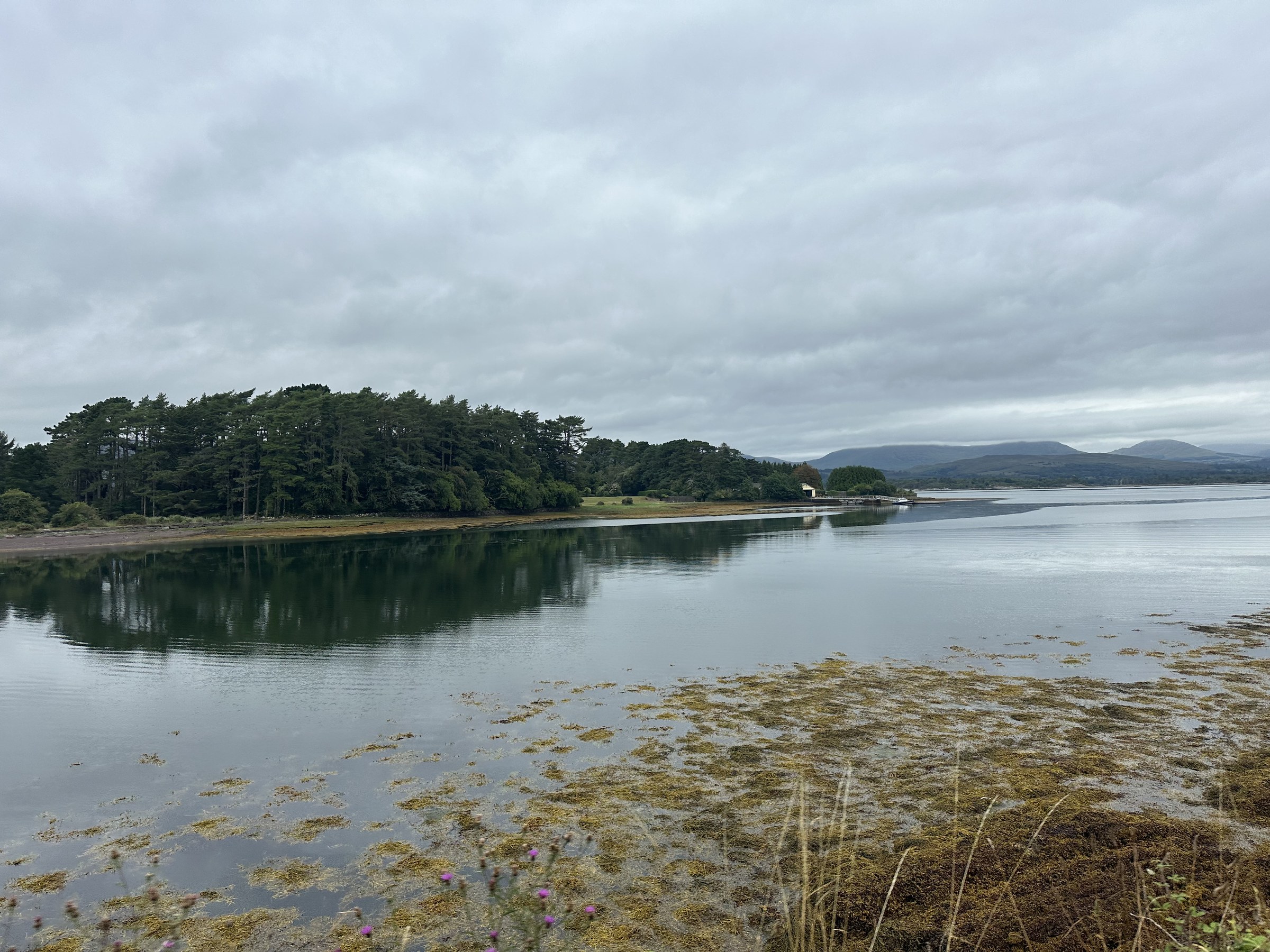 A calm inlet backed by wooded hills on the road to Kenmare