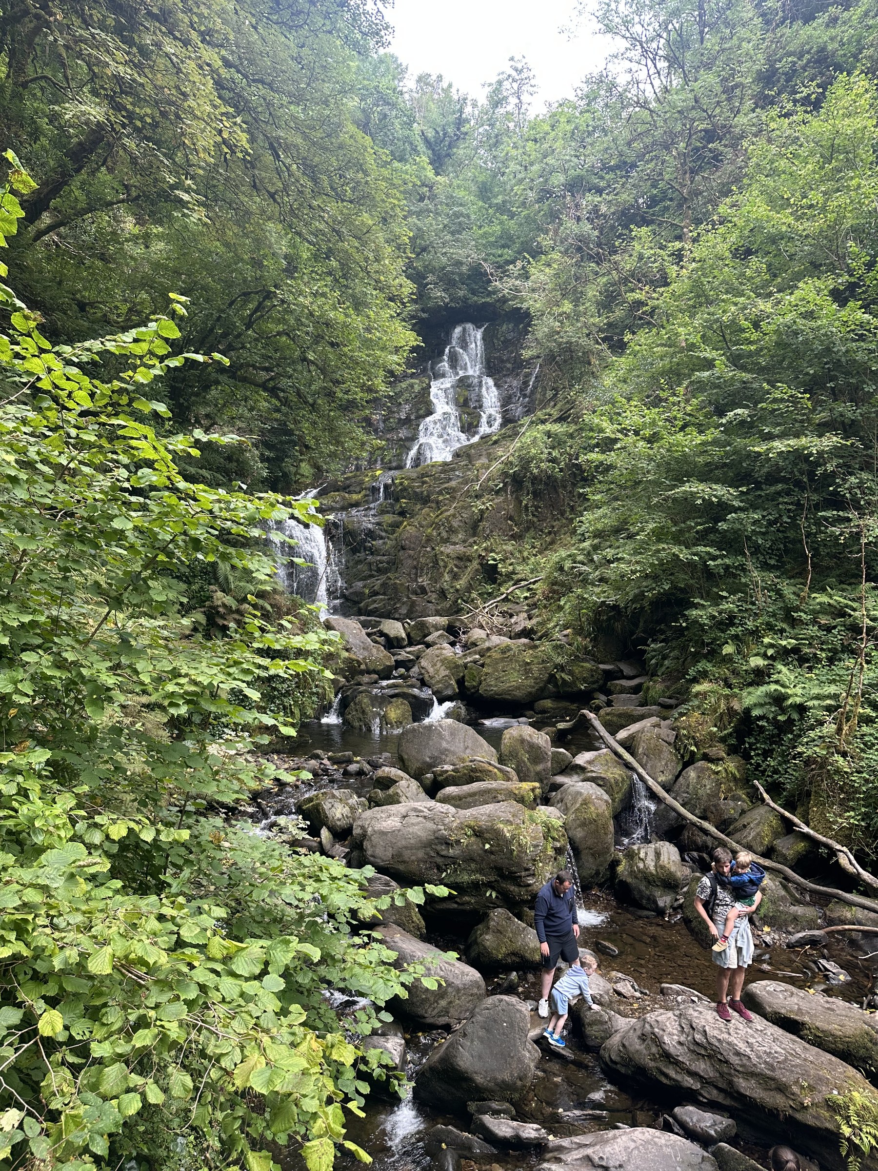 Torc Waterfall glimpsed through the surrounding trees