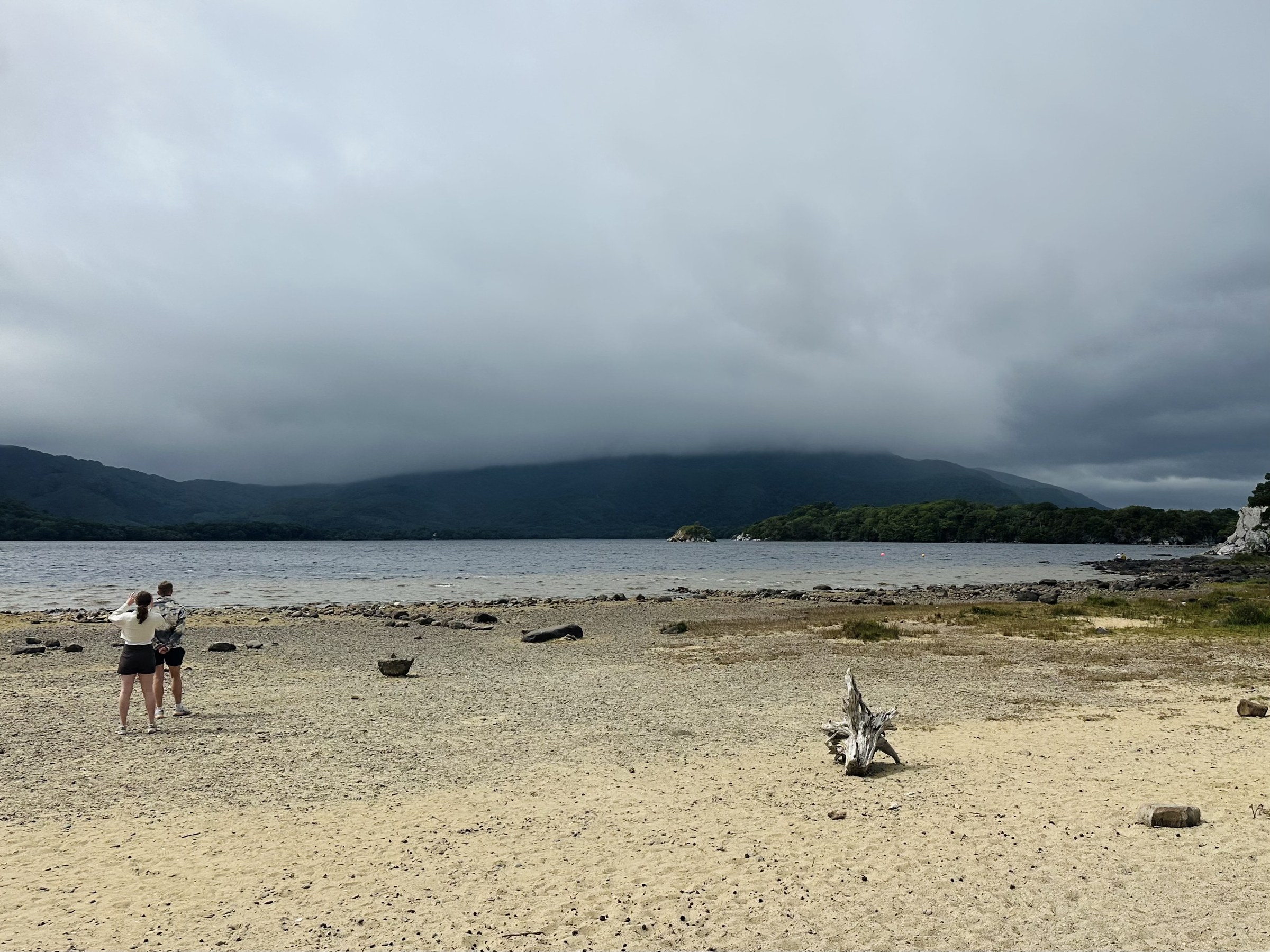 A small sandy beach on the wooded shore of Muckross Lake