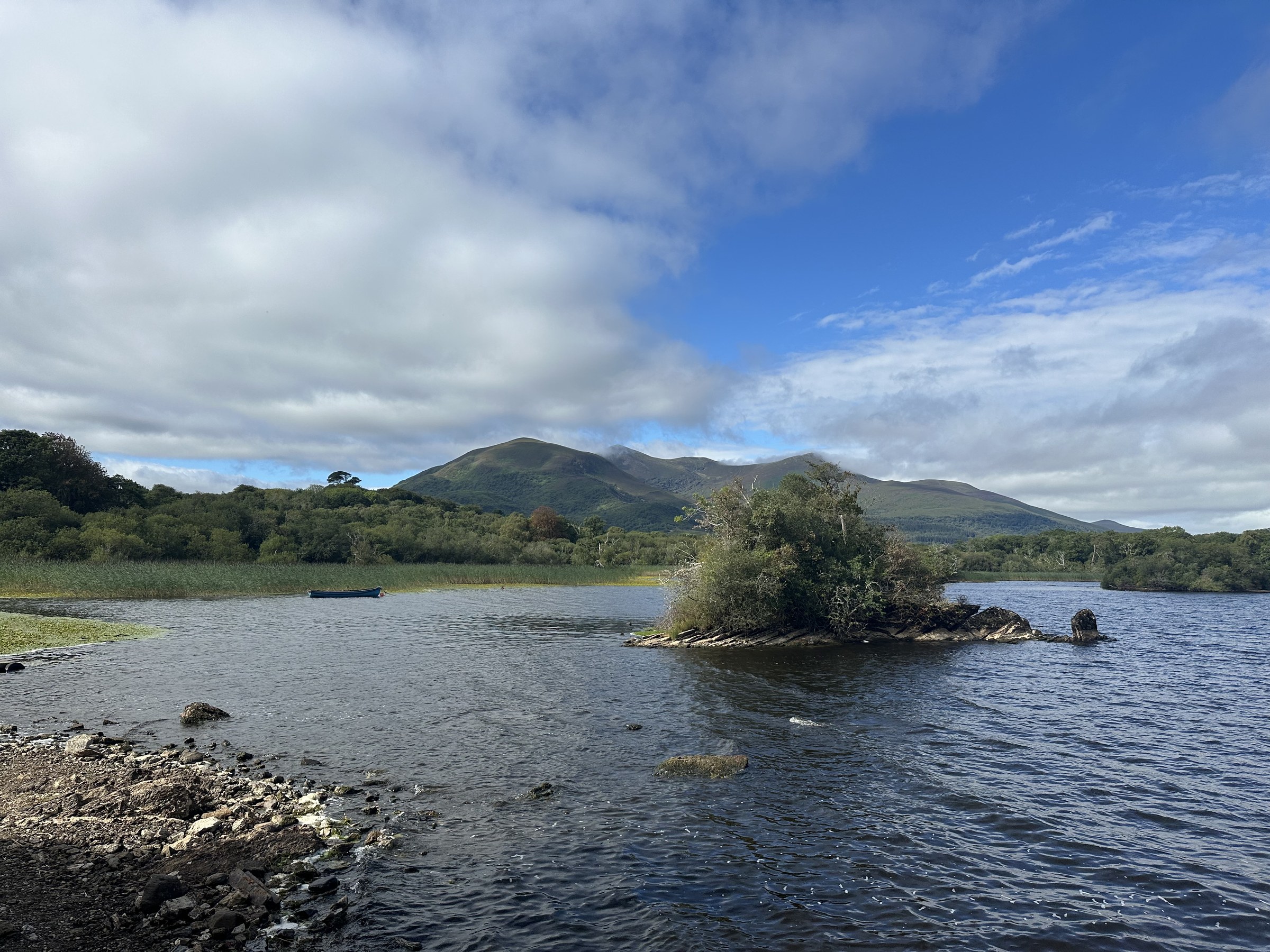 A wooded island and mountains across Lough Leane