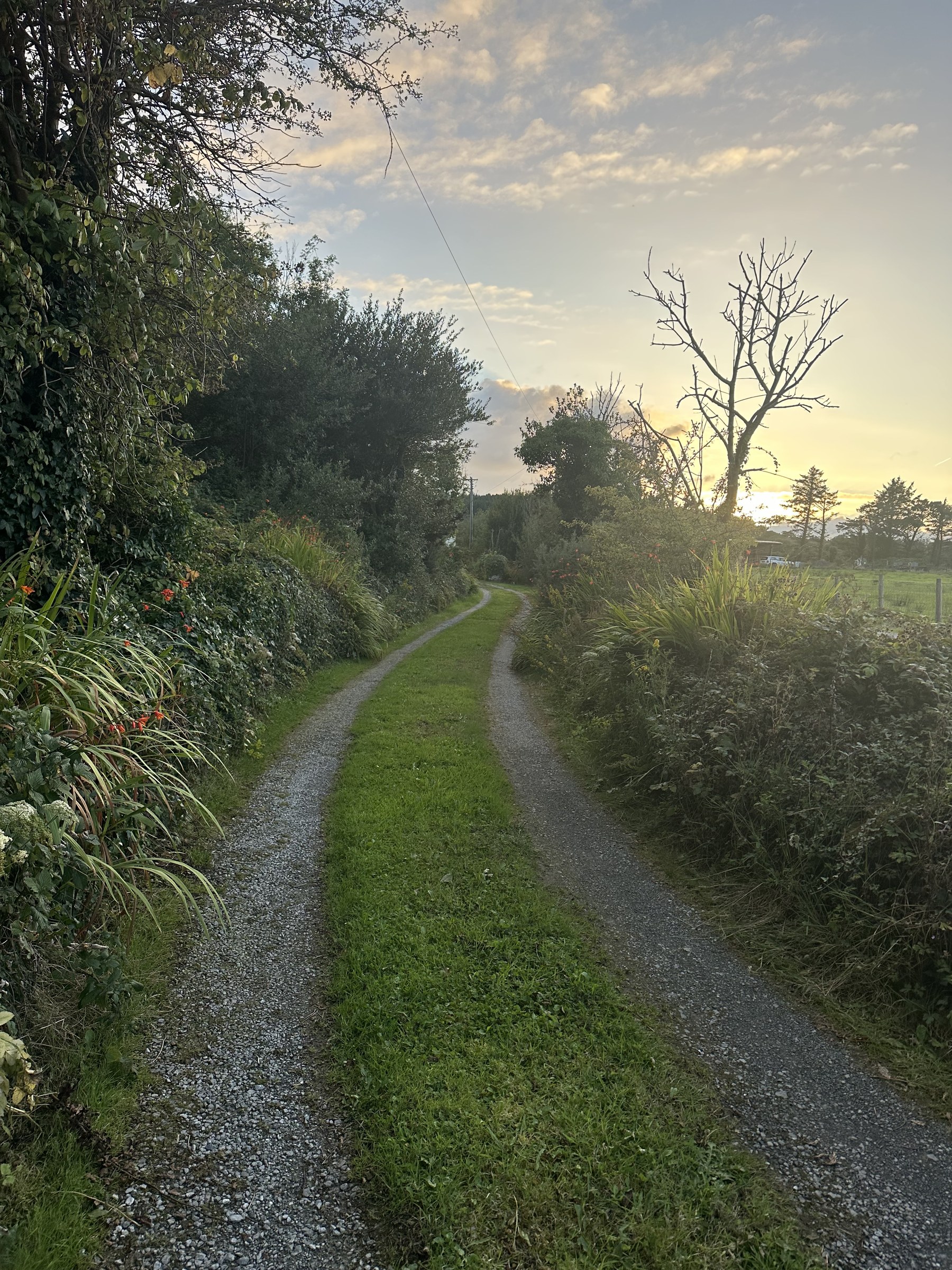 The narrow, tree-lined lane leading to the overnight stop